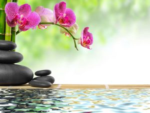 Zen basalt stones bamboo